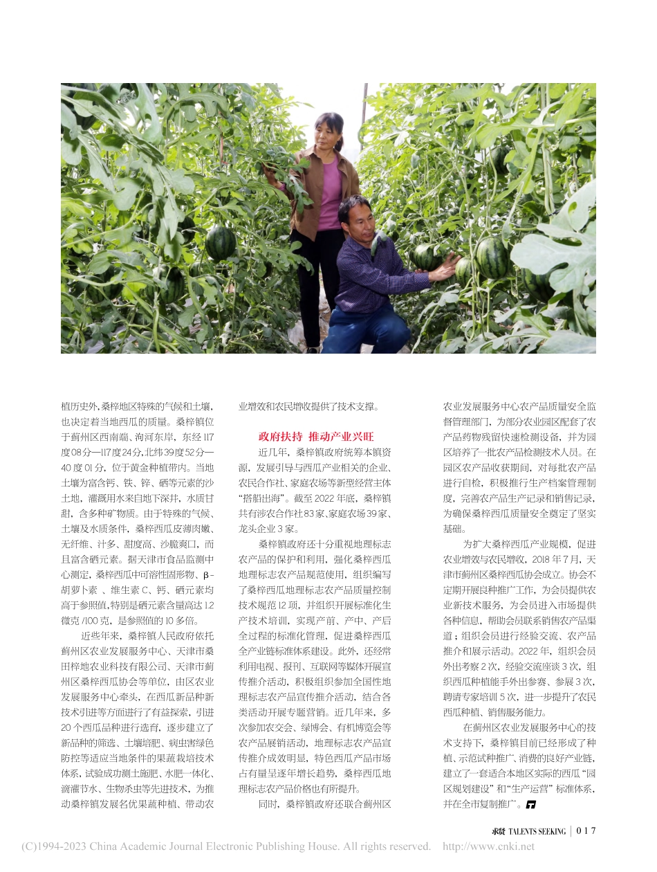 蓟州区桑梓镇·西瓜__山路吊藤蔓__瓜香醉九曲_李柏彦_.pdf_第2页