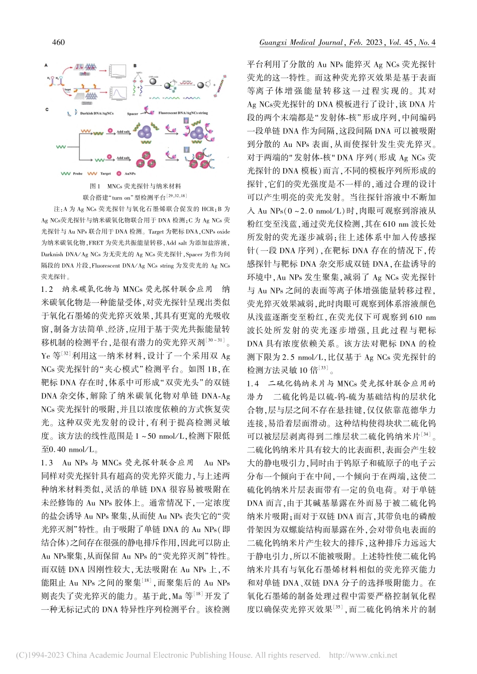 金属纳米团簇荧光探针联合新...在核酸检测领域中的应用现状_梁春贤.pdf_第3页