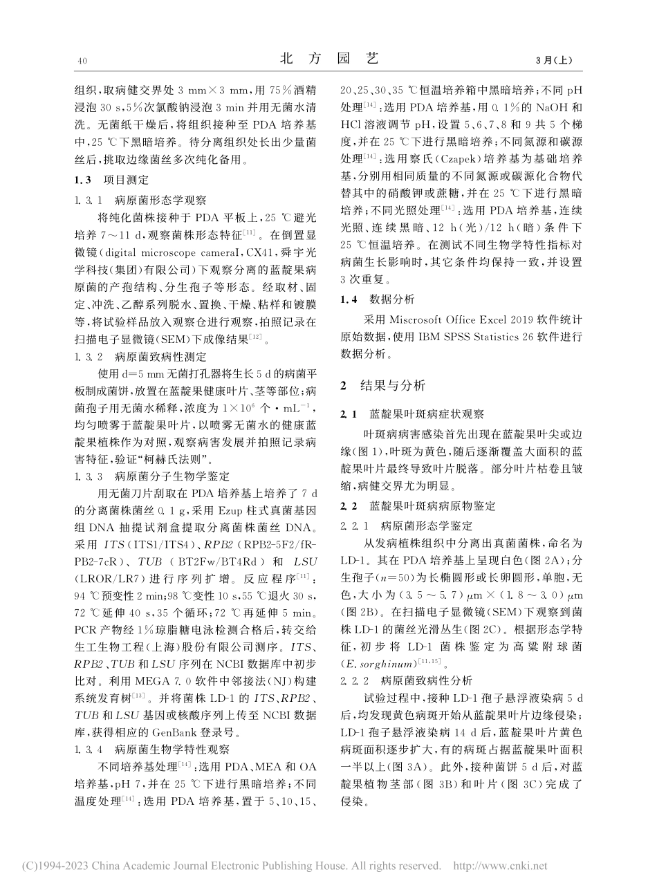 蓝靛果叶斑病病原高粱附球菌...um)分离鉴定及生物学特性_闫浩浩.pdf_第2页