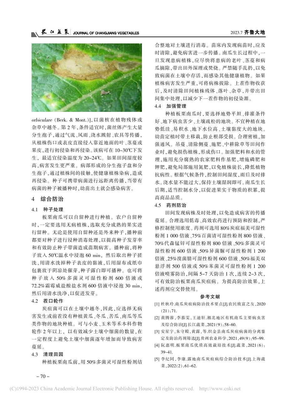 露地栽培板栗南瓜炭疽病综合防治技术_姜新华.pdf_第2页