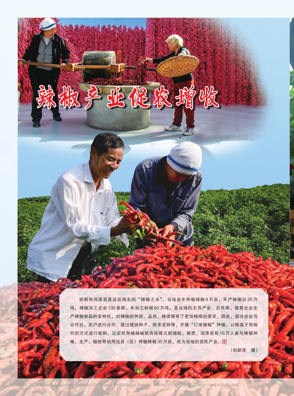 辣椒产业促农增收_刘新泽.pdf_第1页