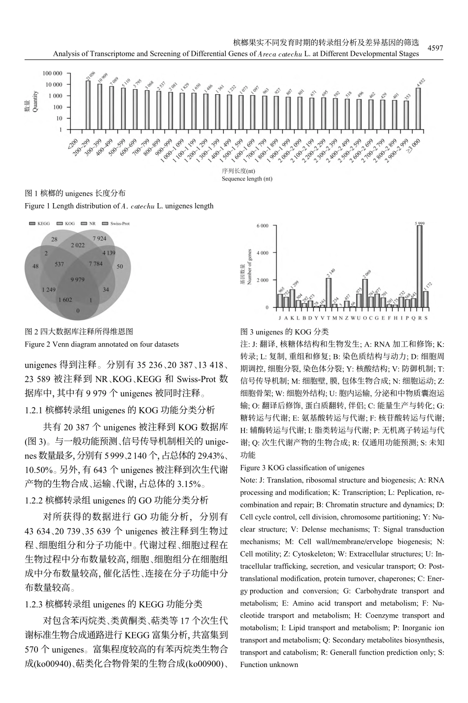 槟榔果实不同发育时期的转录组分析及差异基因的筛选_严和琴.pdf_第3页