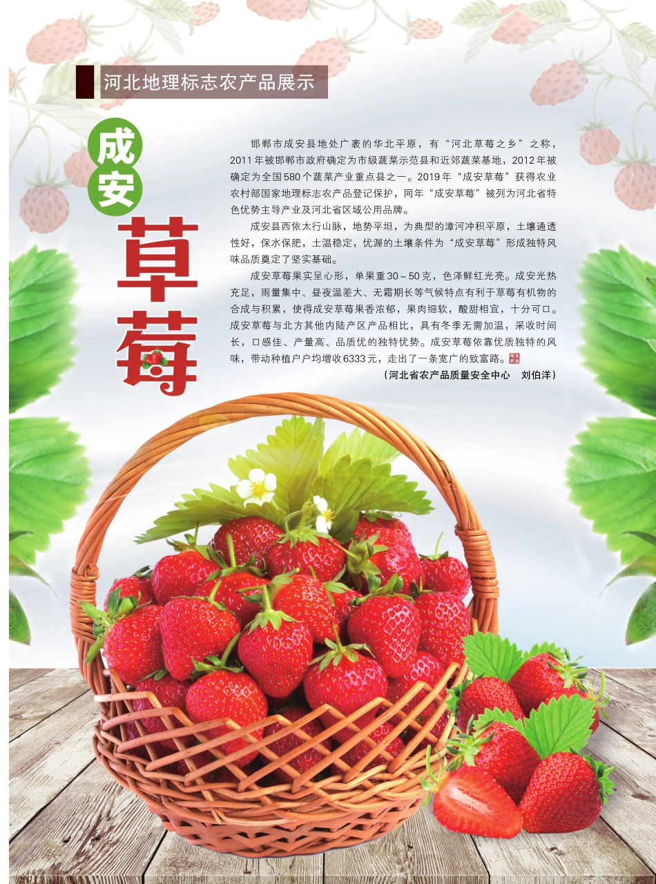 成安草莓_刘伯洋.pdf_第1页