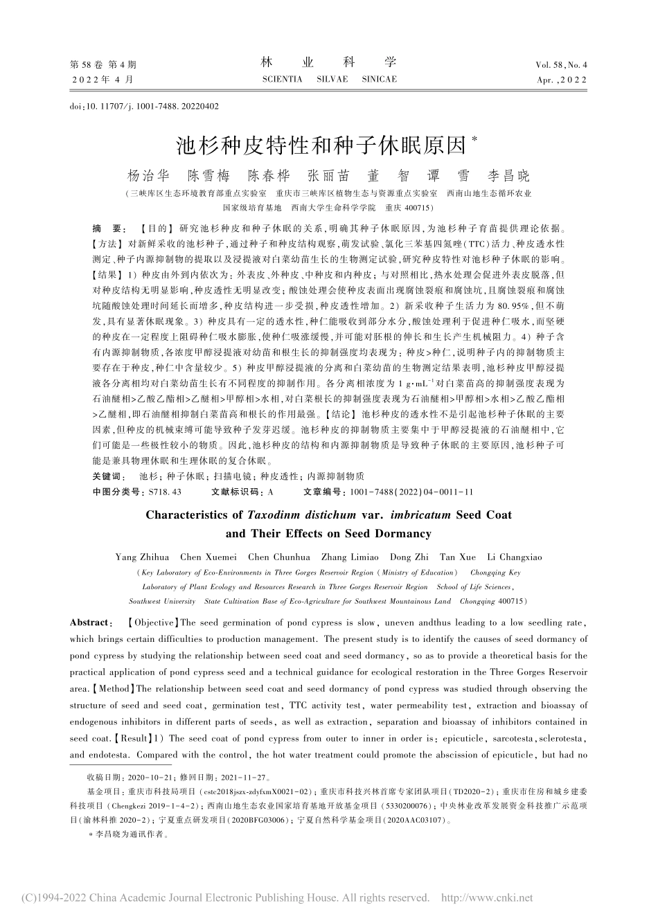 池杉种皮特性和种子休眠原因_杨治华.pdf_第1页