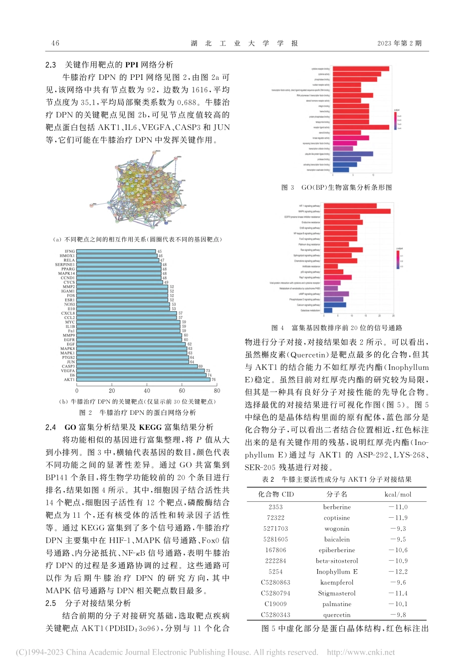 牛膝治疗糖尿病周围神经病变的作用机制_童雅琴.pdf_第3页