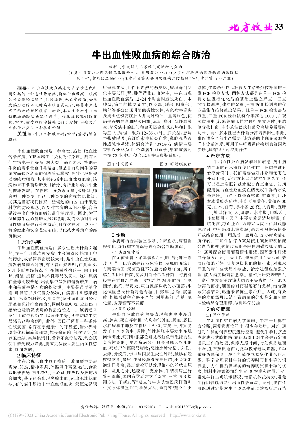 牛出血性败血病的综合防治_杨程.pdf_第1页