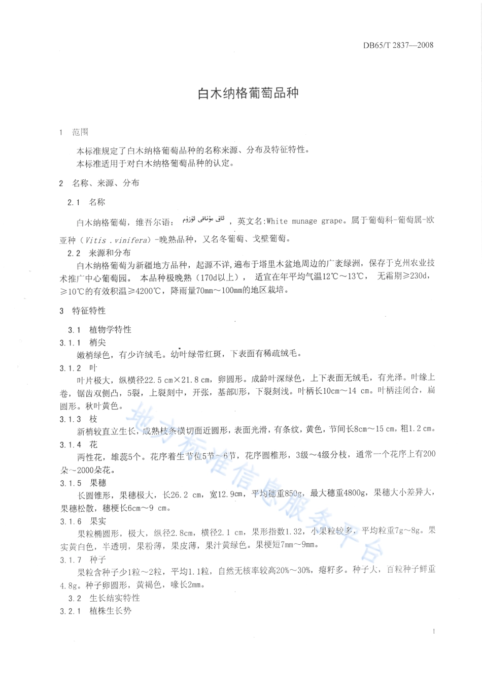 DB65T 2837-2008 白木纳格葡萄品种.pdf_第3页