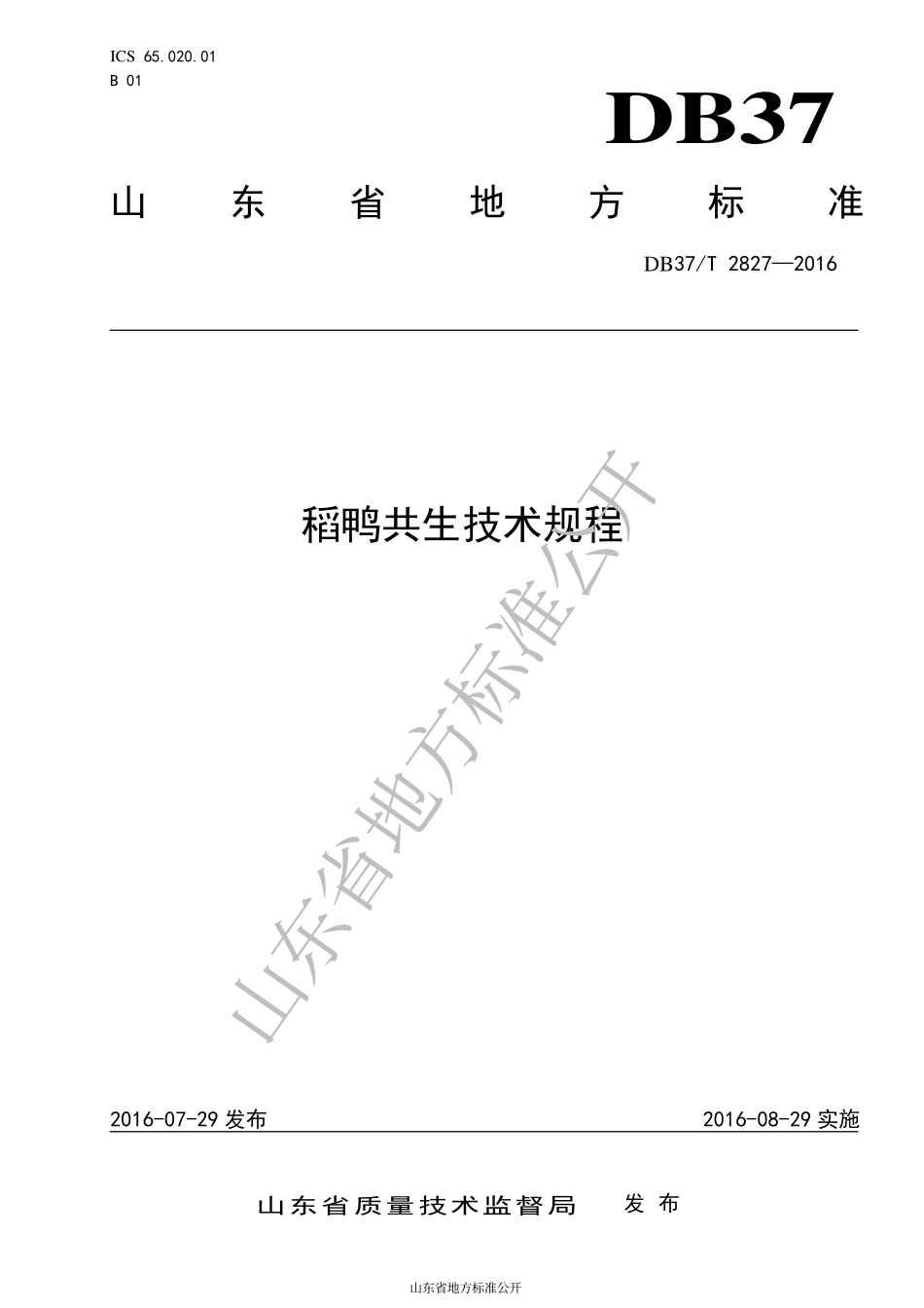 DB37T 2827-2016 稻鸭共生技术规程.pdf_第1页