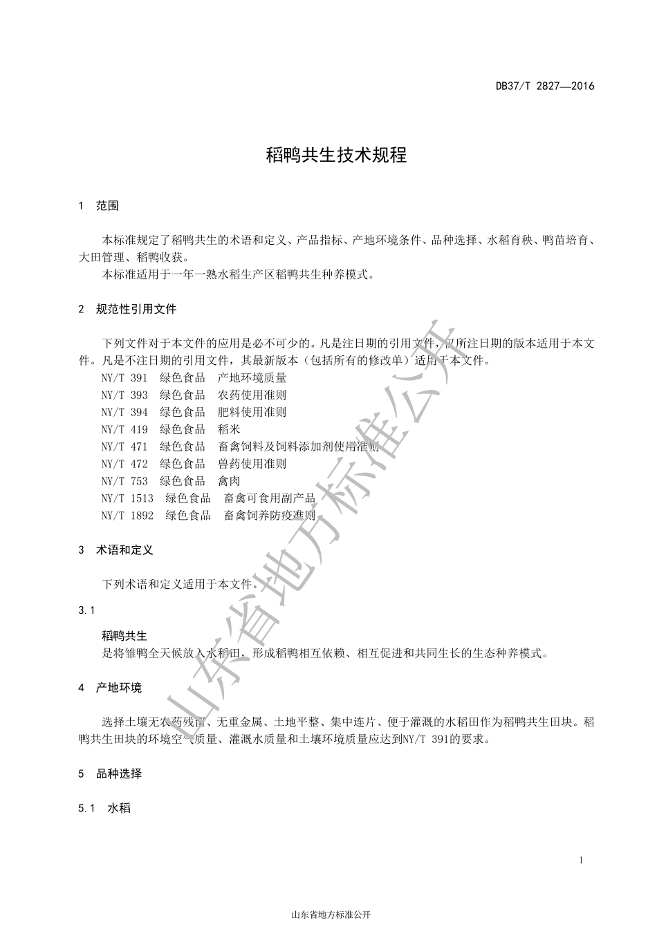 DB37T 2827-2016 稻鸭共生技术规程.pdf_第3页