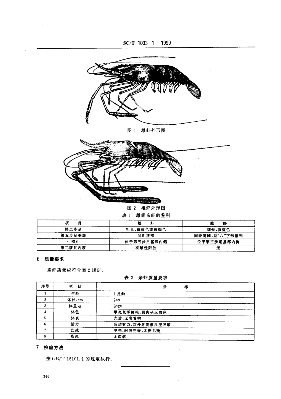 SCT 1033.1-1999 罗氏沼虾养殖技术规范 亲虾.pdf_第3页