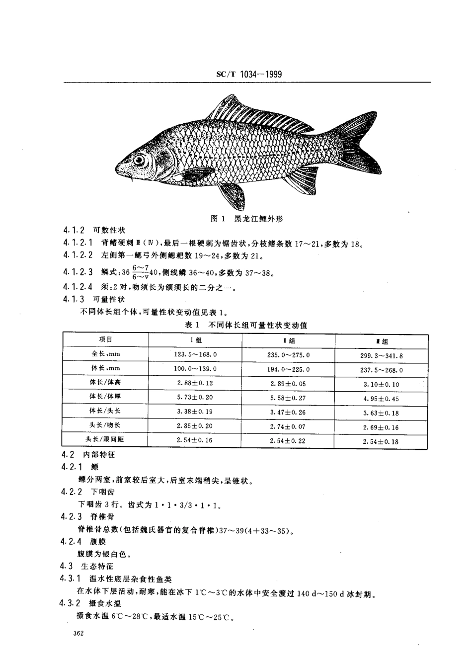 SCT 1034-1999 黑龙江鲤.pdf_第3页