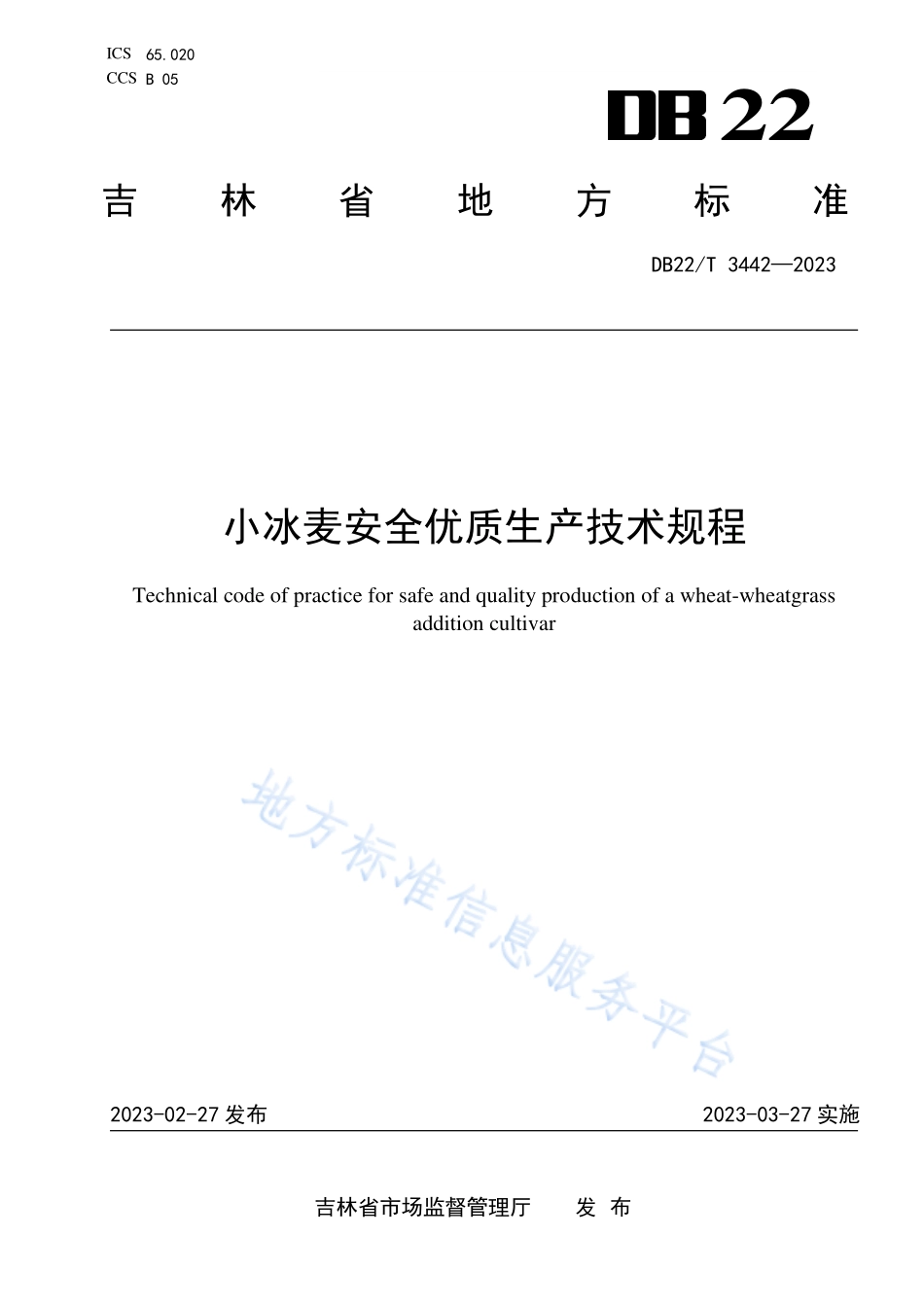 DB22T 3442-2023 小冰麦安全优质生产技术规程.pdf_第1页