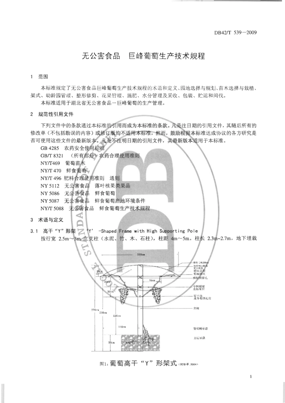 DB42T 539-2009 无公害食品 巨峰葡萄生产技术规程.pdf_第3页