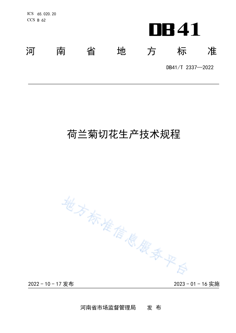 DB41T 2337-2022 荷兰菊切花生产技术规程.pdf_第1页