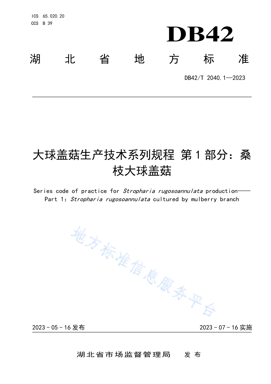 DB42T 2040.1-2023 大球盖菇生产技术系列规程 第1部分：桑枝大球盖菇.pdf_第1页