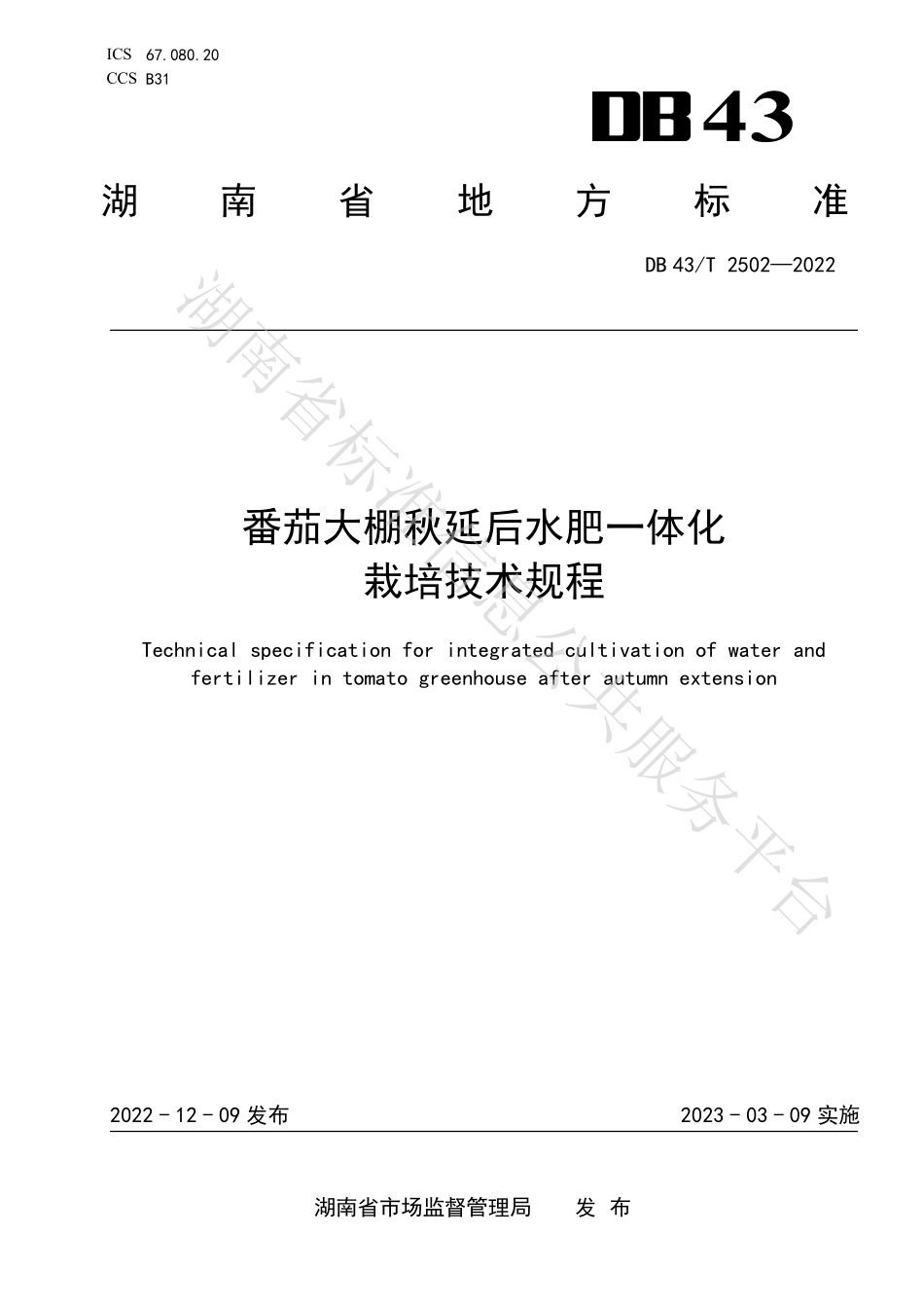 DB43T 2502-2022 番茄大棚秋延后水肥一体化栽培技术规程.pdf_第1页