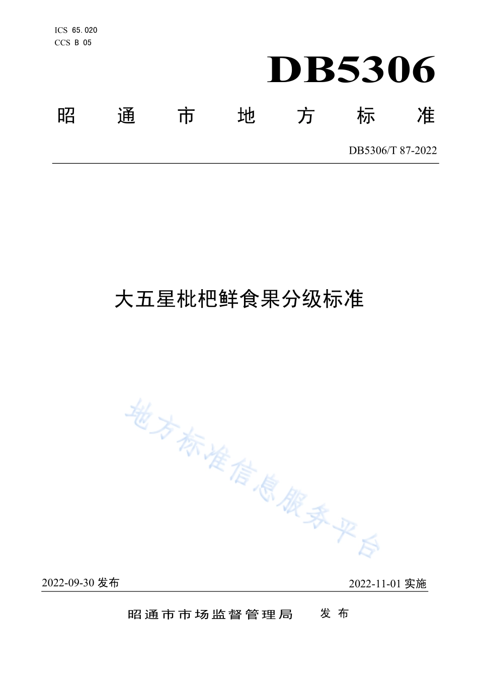 DB5306T 87-2022 大五星枇杷鲜食果分级标准.pdf_第1页