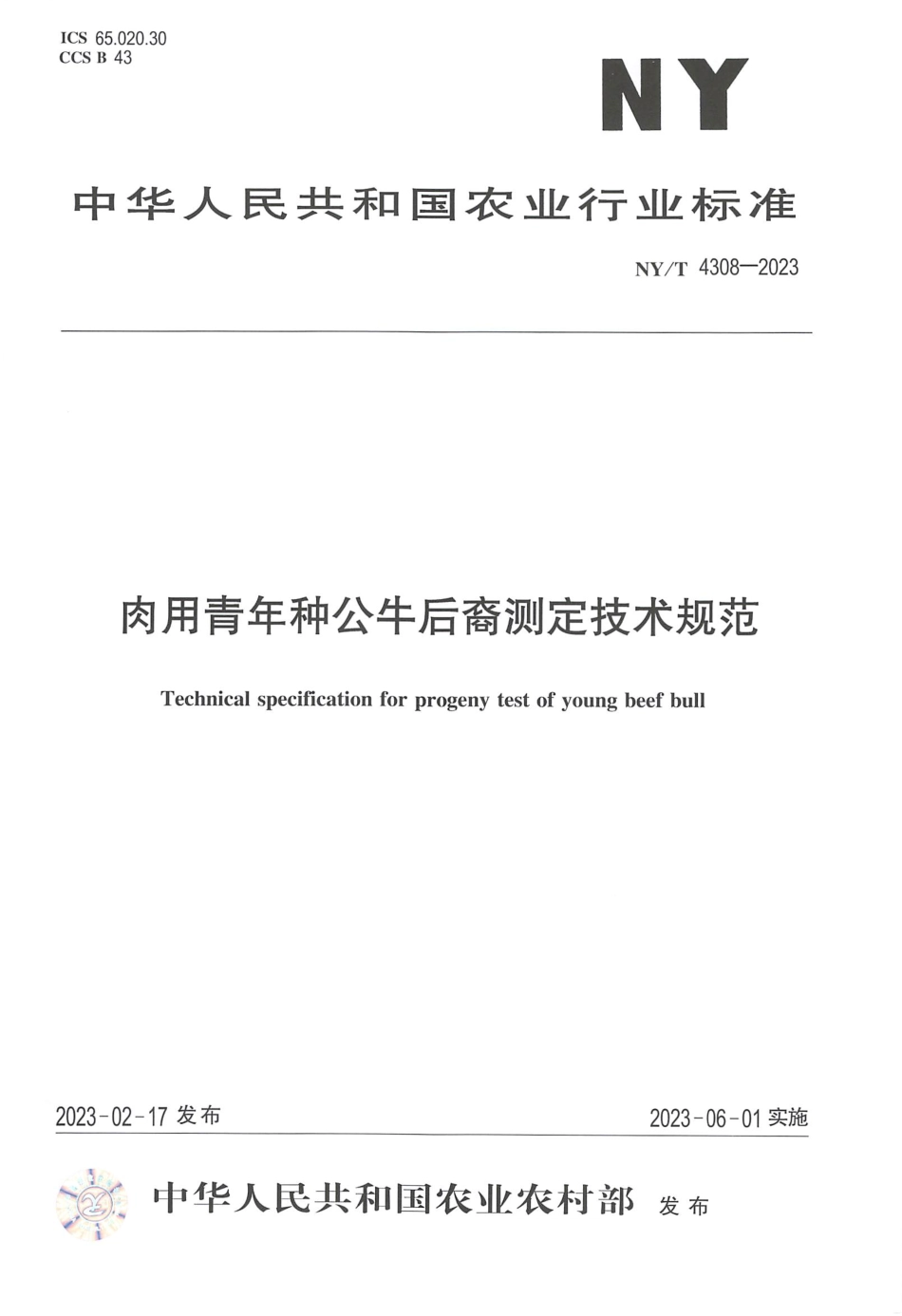 NYT 4308-2023 肉用青年种公牛后裔测定技术规范.pdf_第1页