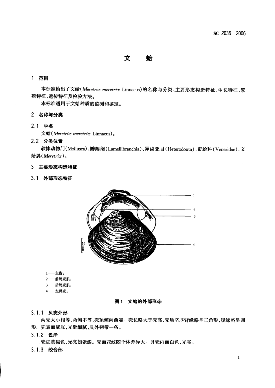 SC 2035-2006 文蛤.pdf_第3页