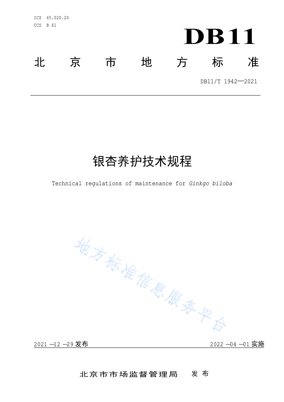 DB11T 1942-2021 银杏养护技术规程.pdf_第1页