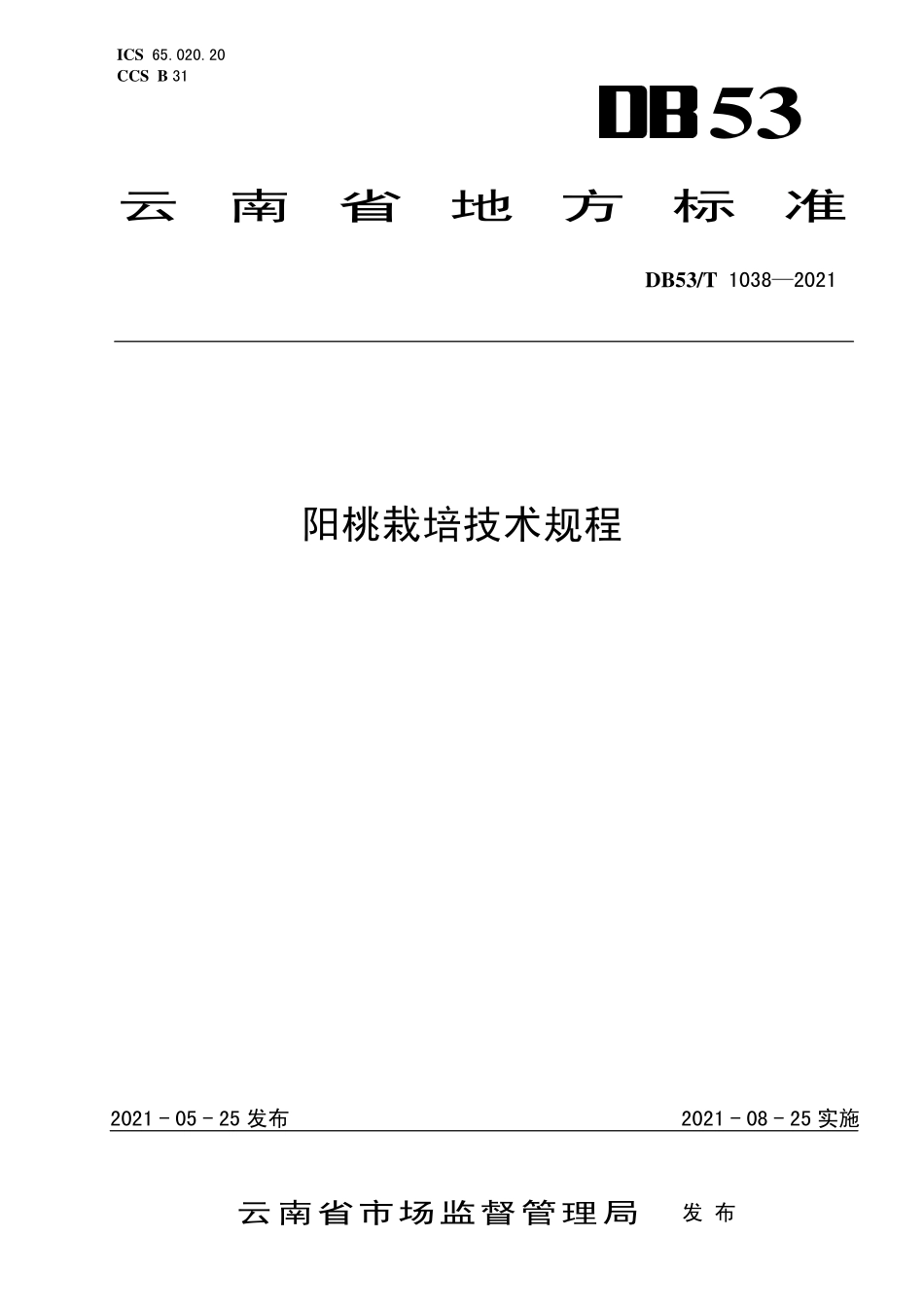 DB53T 1038-2021 阳桃栽培技术规程.pdf_第1页