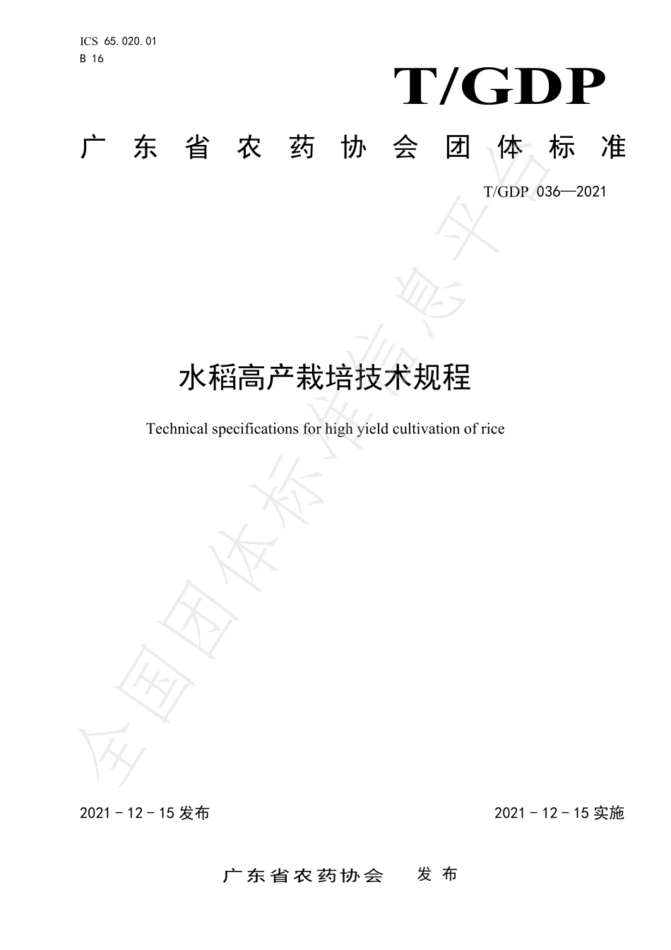 TGDP 036-2021 水稻高产栽培技术规程.pdf_第1页