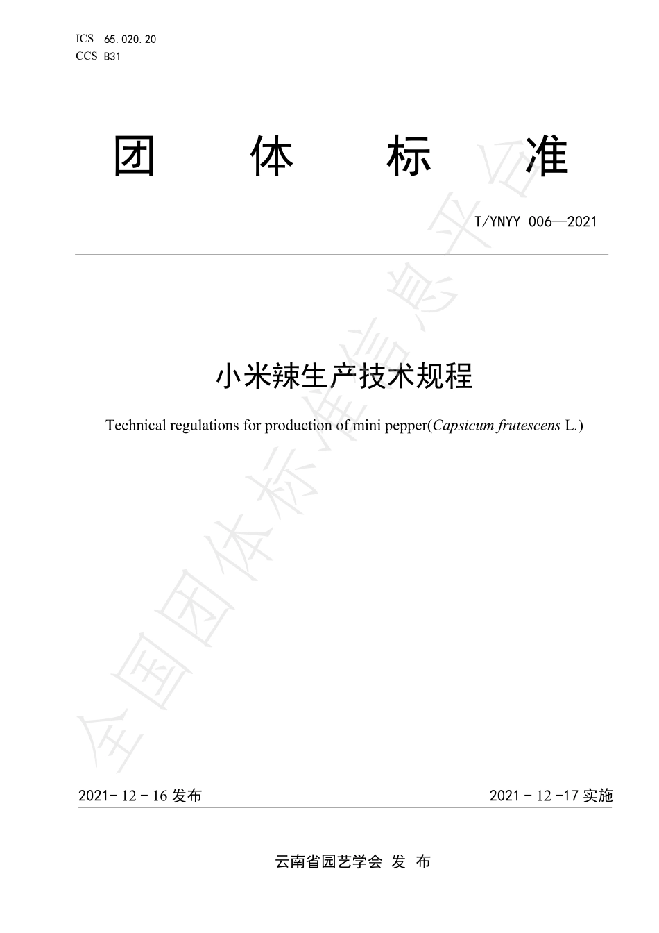 TYNYY 006-2021 小米辣生产技术规程.pdf_第1页