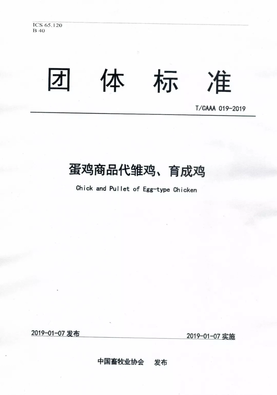 TCAAA 019-2019 蛋鸡商品代雏鸡育成鸡.pdf_第1页