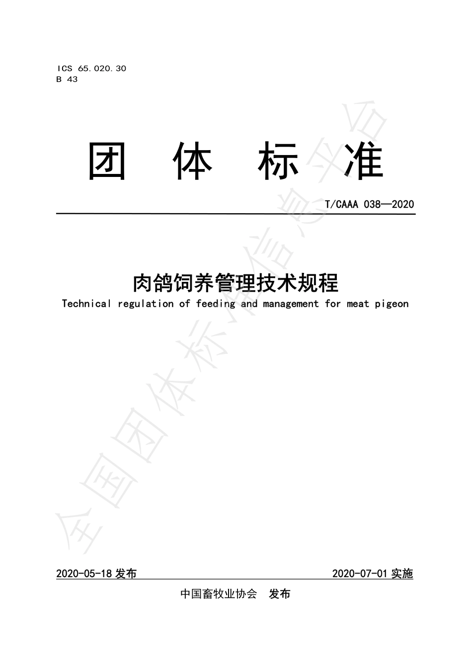 TCAAA 038-2020 肉鸽饲养管理技术规程.pdf_第1页
