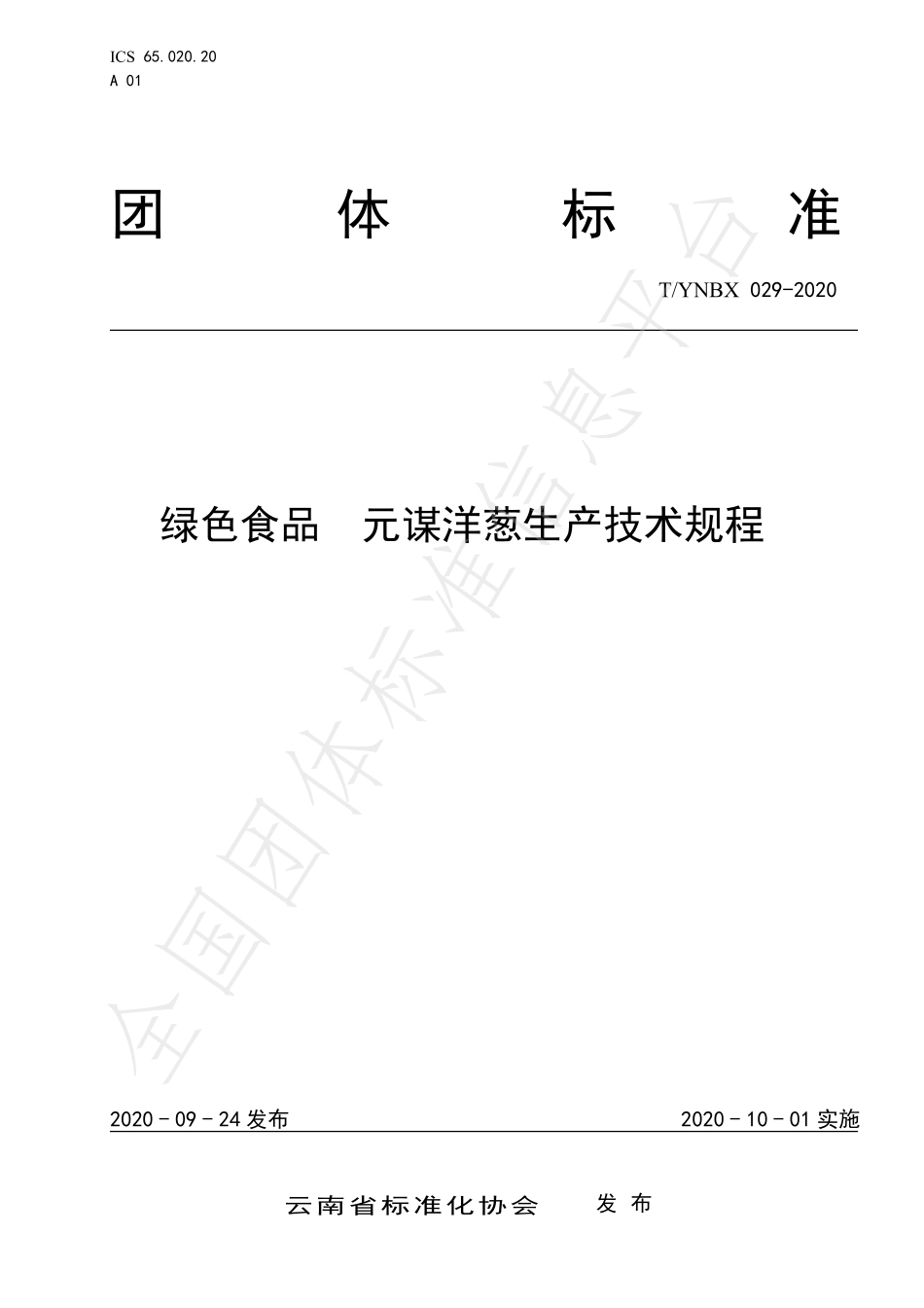TYNBX 029-2020 绿色食品 元谋洋葱生产技术规程.pdf_第1页