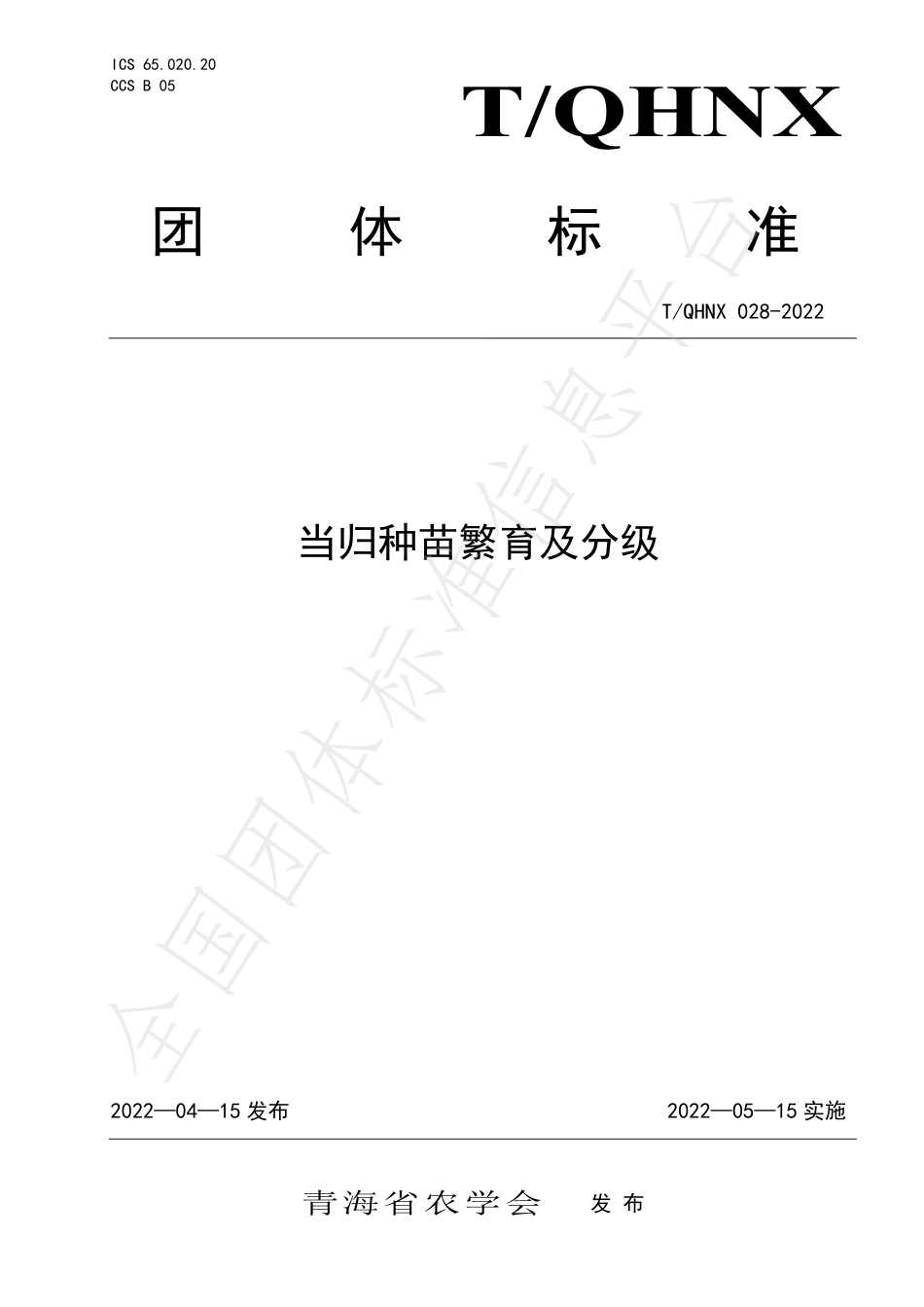 TQHNX 028-2022 当归种苗繁育及分级.pdf_第1页