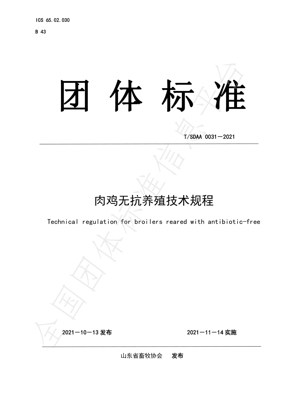TSDAA 0031-2021 肉鸡无抗养殖技术规程.pdf_第1页
