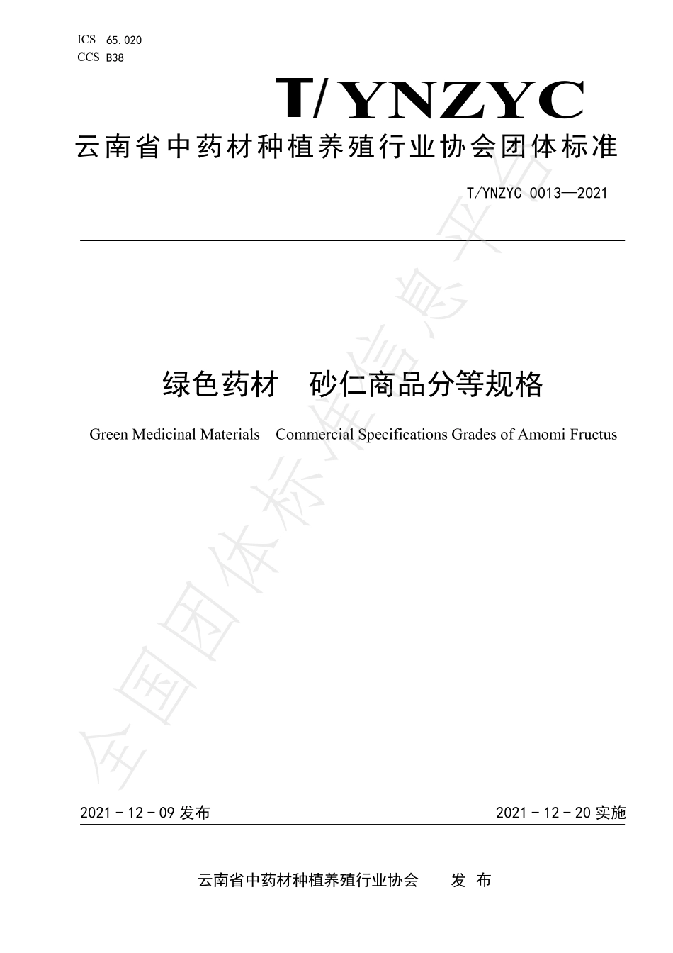TYNZYC 0013-2021 绿色药材 砂仁商品分等规格.pdf_第1页