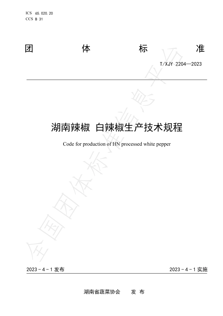 TXJY 2204-2023 湖南辣椒 白辣椒生产技术规程.pdf_第1页
