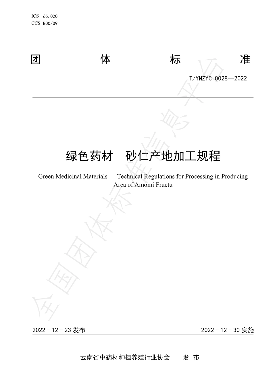 TYNZYC 0028-2022 绿色药材 砂仁产地加工规程.pdf_第1页