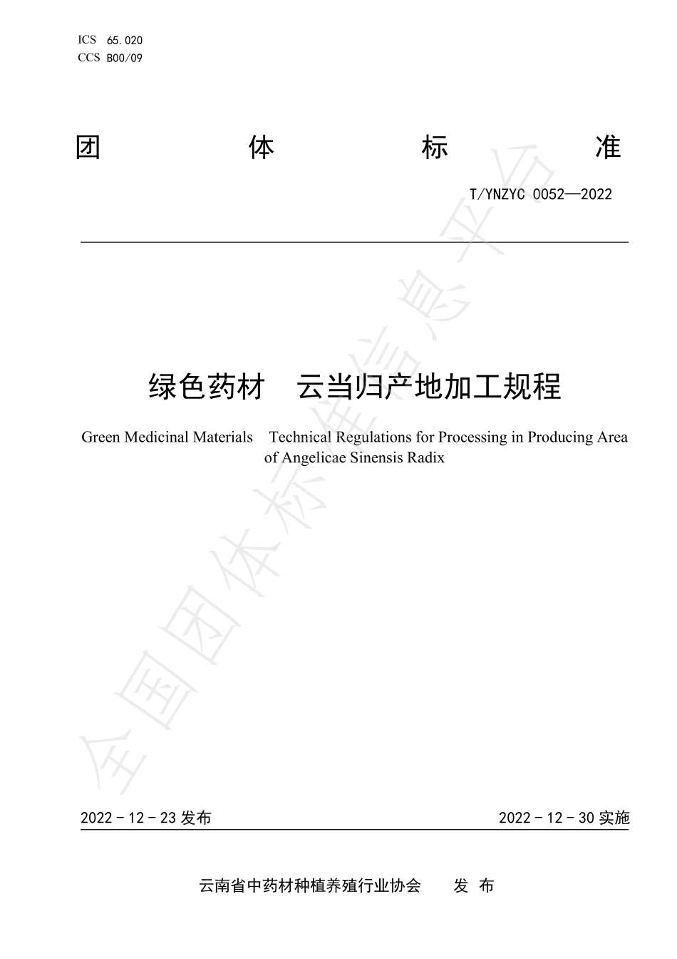 TYNZYC 0052-2022 绿色药材 云当归产地加工规程.pdf_第1页