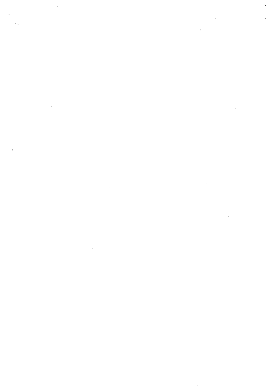 DB13T 1005-2008 无公害果品 魏县鸭梨生产技术规程.pdf_第2页