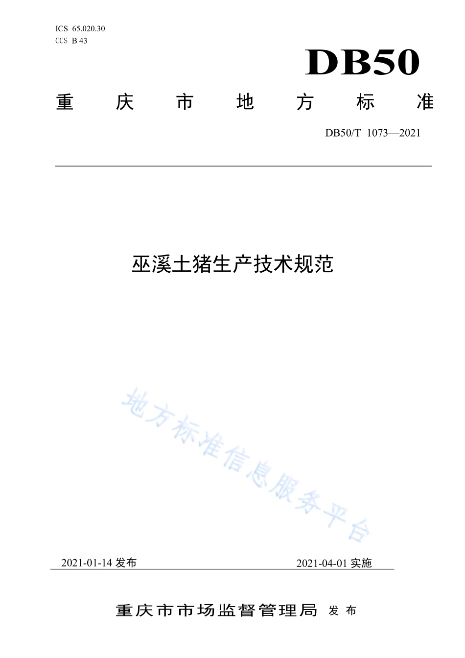 DB50T 1073-2021 巫溪土猪生产技术规范.pdf_第1页