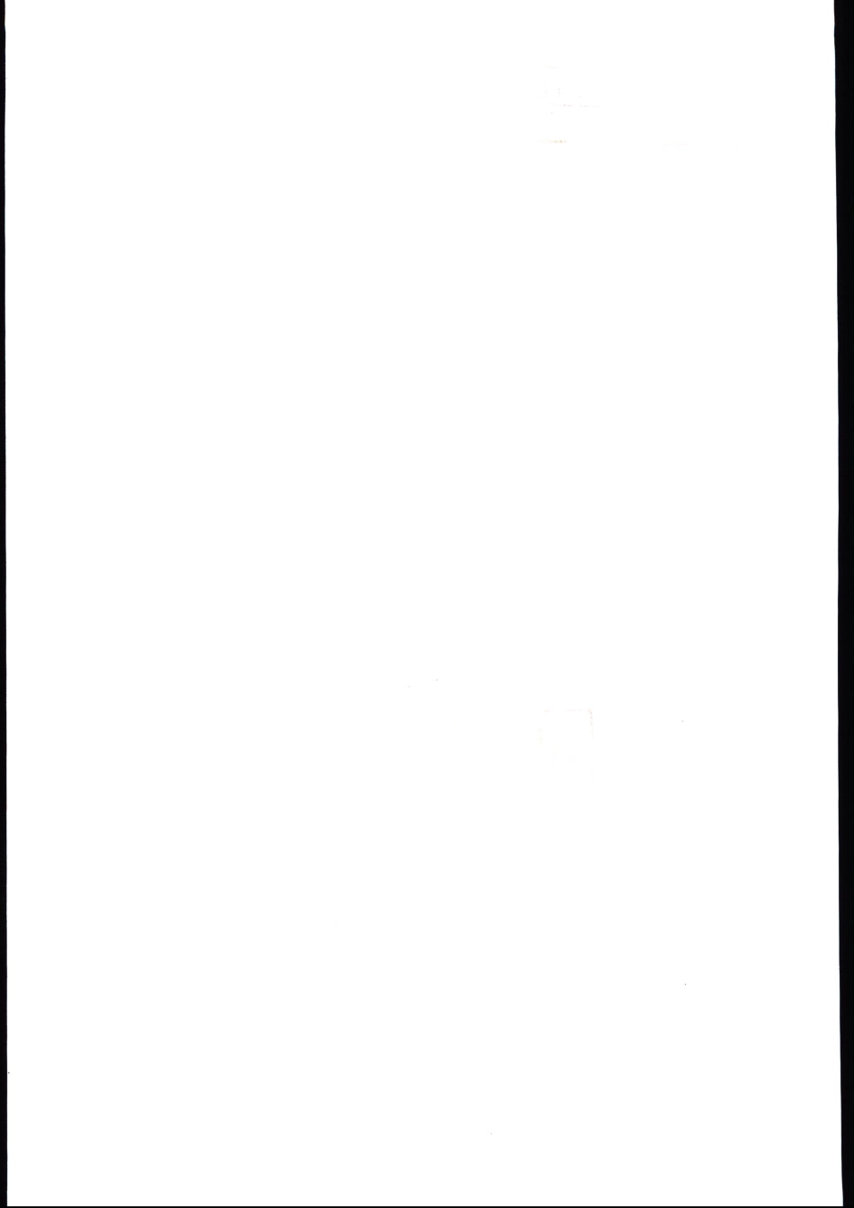 QKSF 0002 S-2019 方便食品调味料包.pdf_第2页