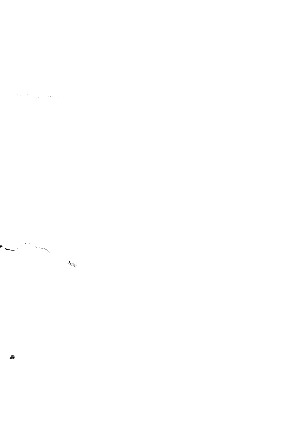 DB13T 879-2007 幛子松育苗技术规程.pdf_第2页