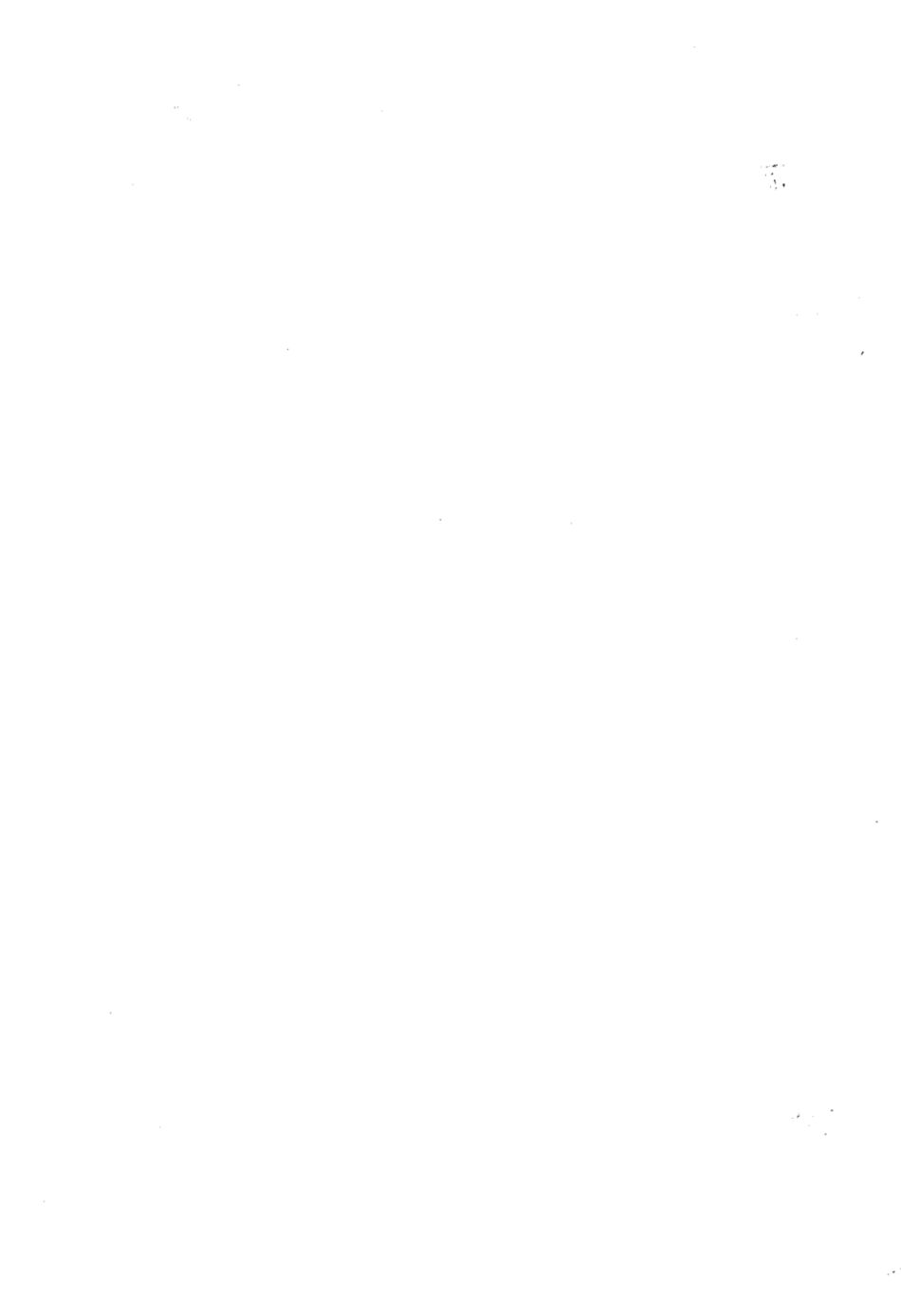 DB13T 934-2008 楸树造林技术规程.pdf_第2页