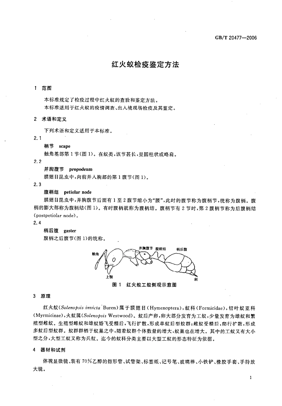 GBT 20477-2006 红火蚁检疫鉴定方法.pdf_第3页