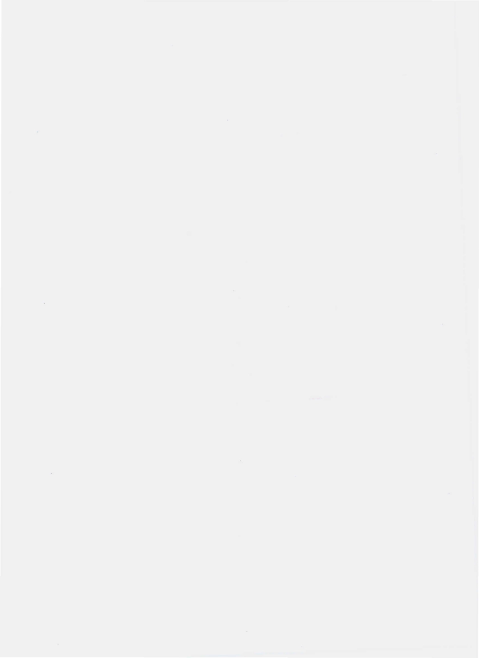 QYDC 0002 S-2010 果蔬（花）蜜饯.pdf_第2页