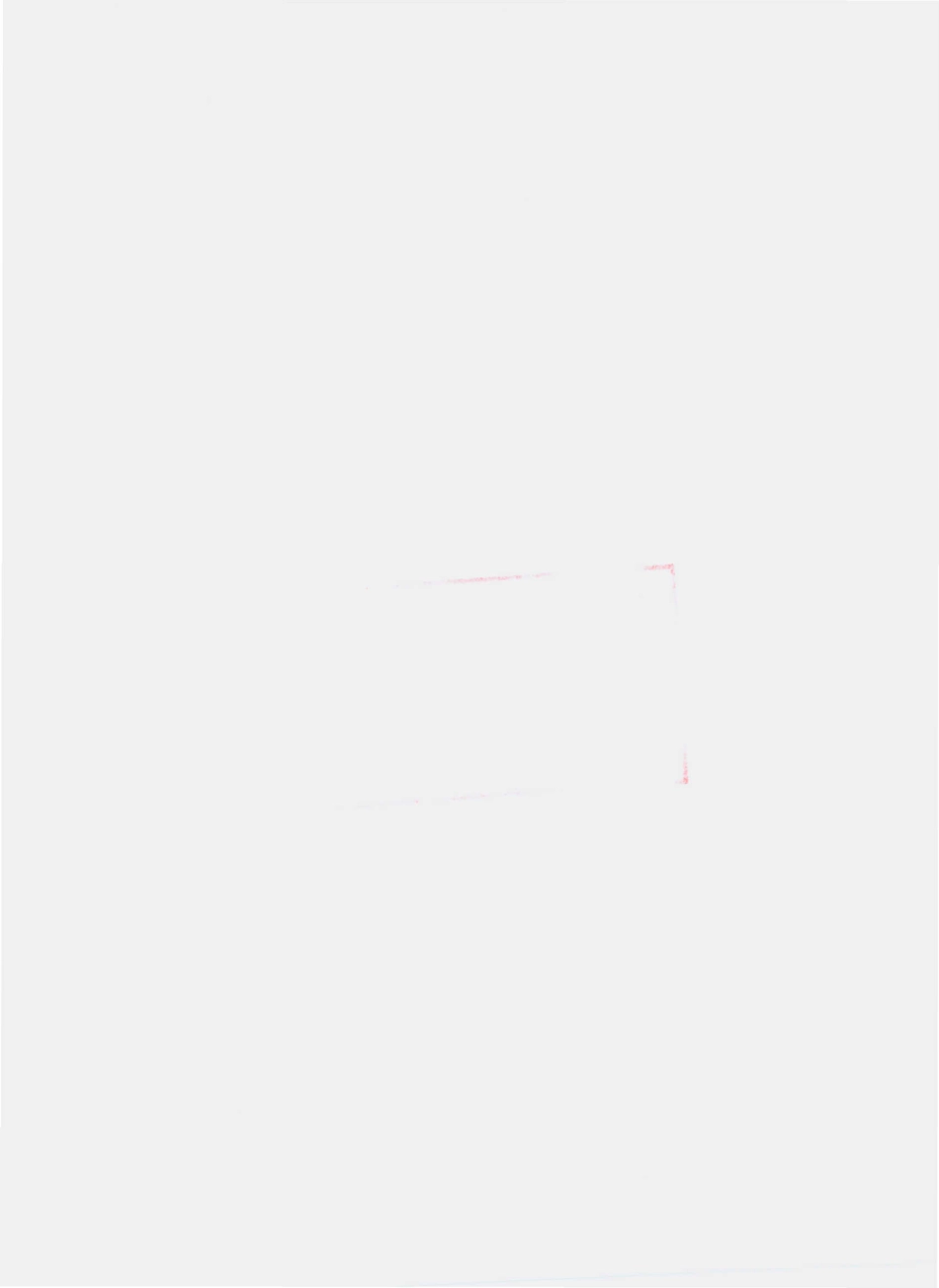 QNZX 0001 S-2010 腌腊肉制品.pdf_第2页