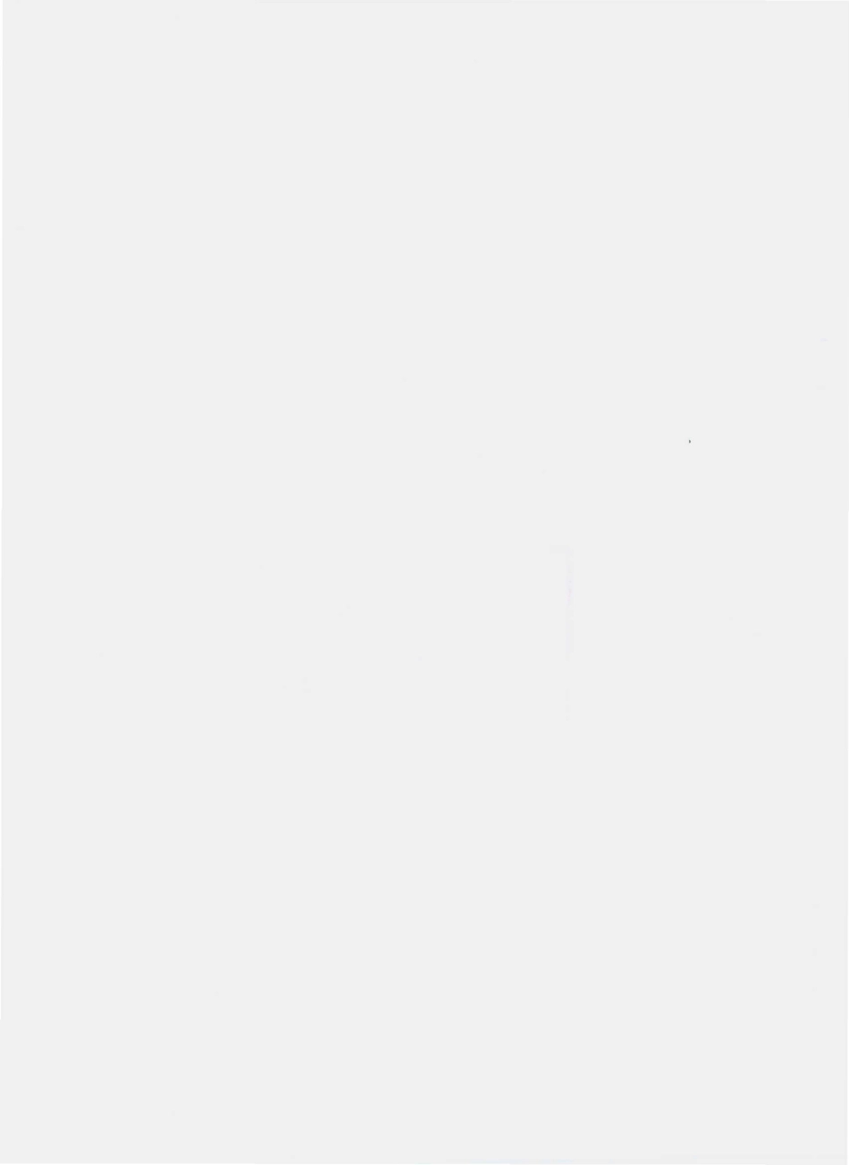 QPMY 0001 S-2010 咖啡固体饮料.pdf_第2页