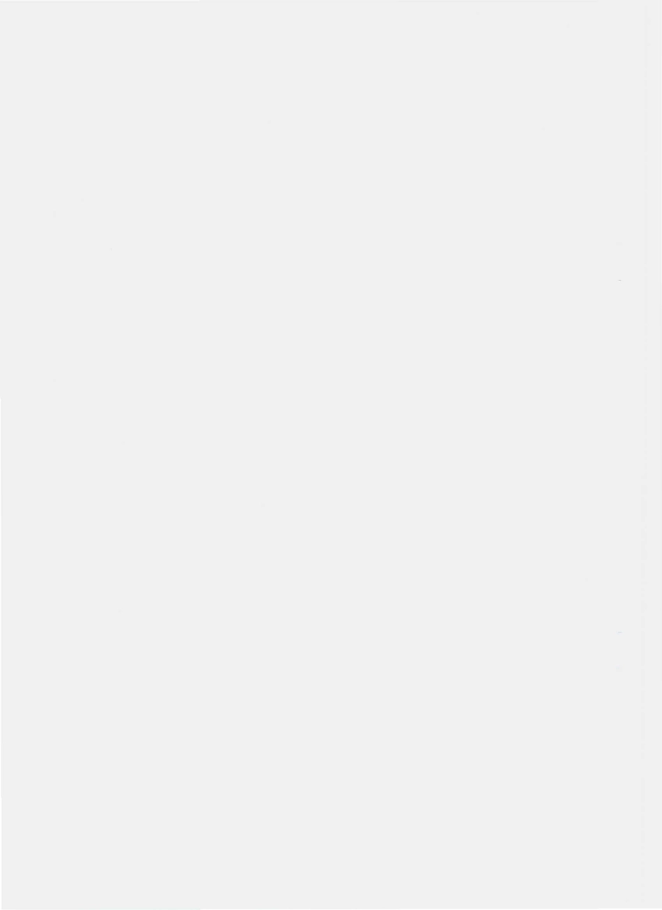 QPYJ 0001 S-2010 大米淀粉.pdf_第2页