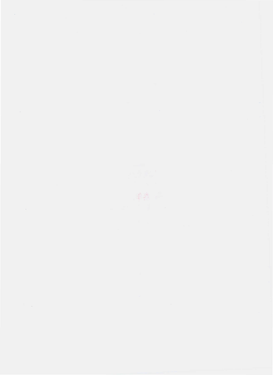 QSHQ 0001 S-2010 无汽苏打水.pdf_第2页