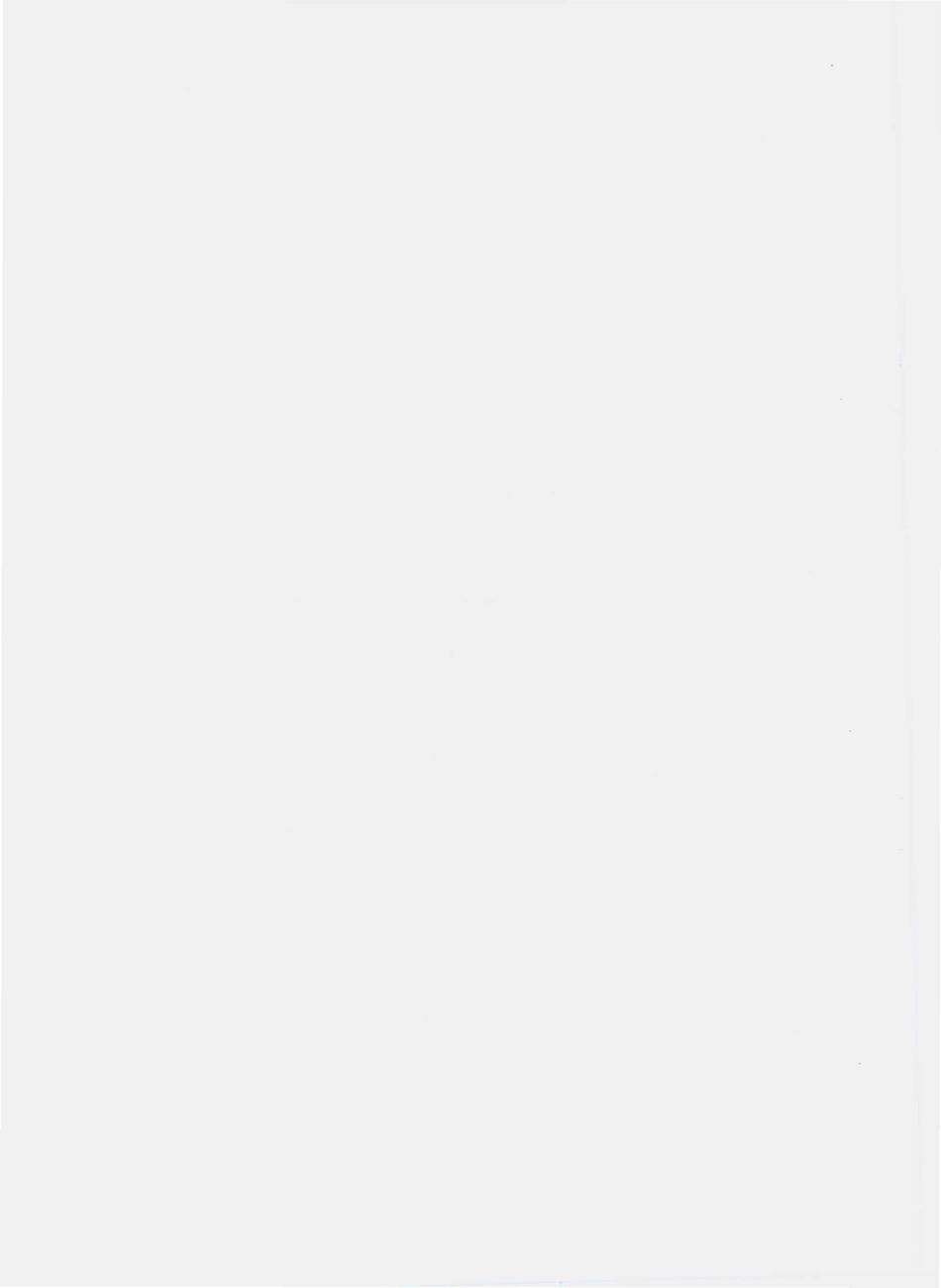 QAJS 0003 S-2010 泡椒鸡、鸭（爪、翅、腿）.pdf_第2页