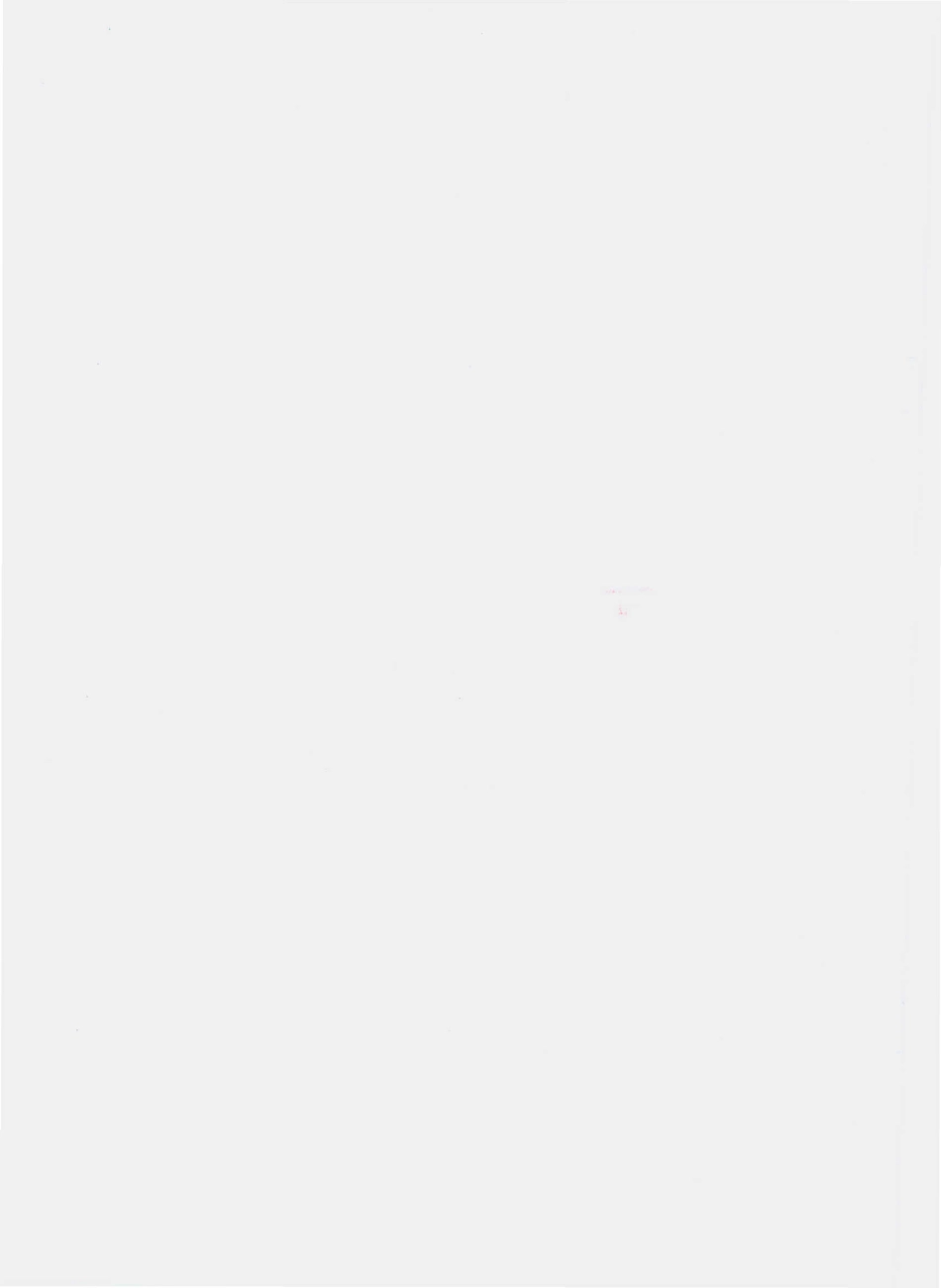 QCYC 0003 S-2010 普洱调味沱茶.pdf_第2页