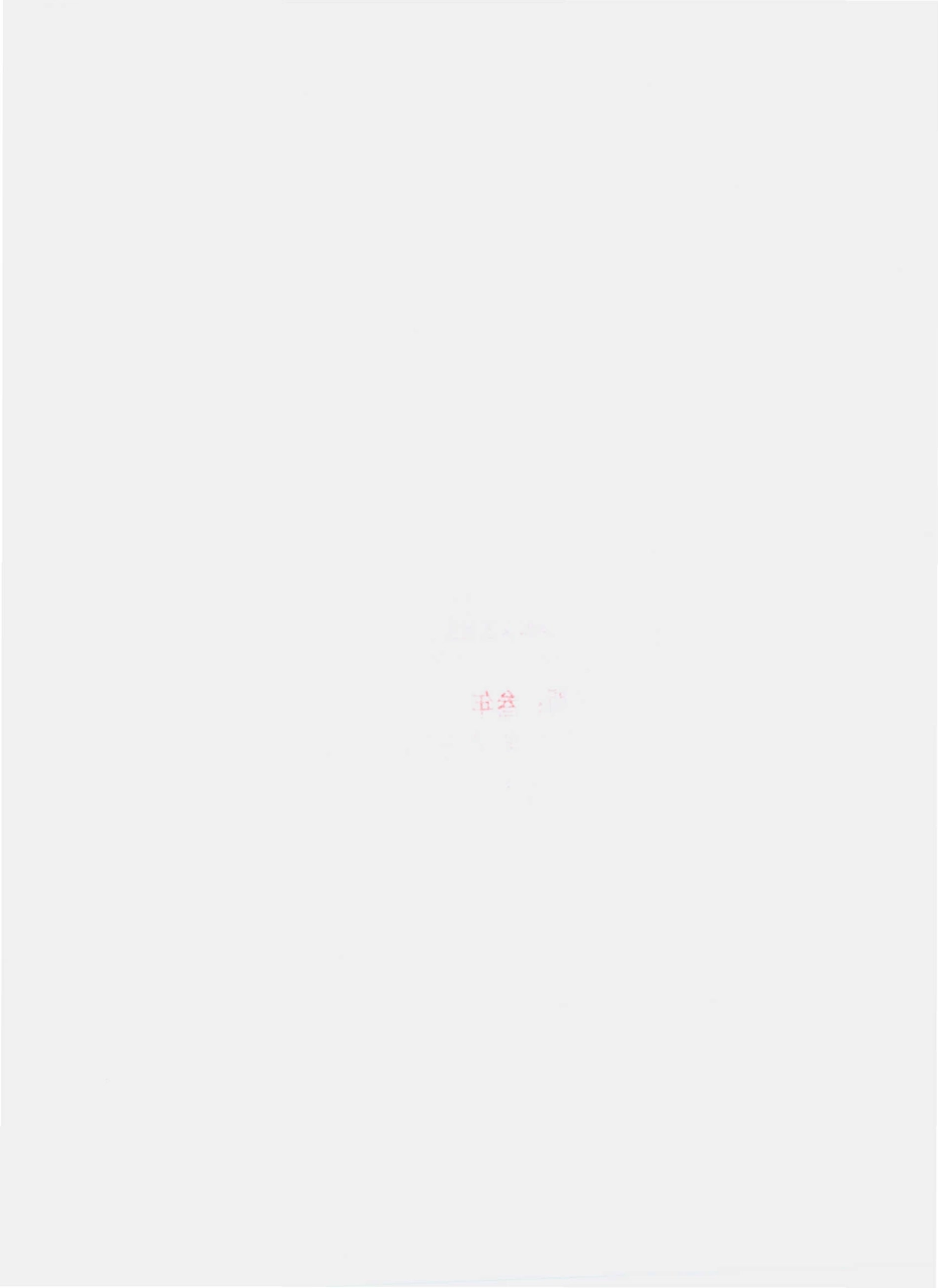 QDXG 0001 S-2010 傣乡果园混合果汁.pdf_第2页